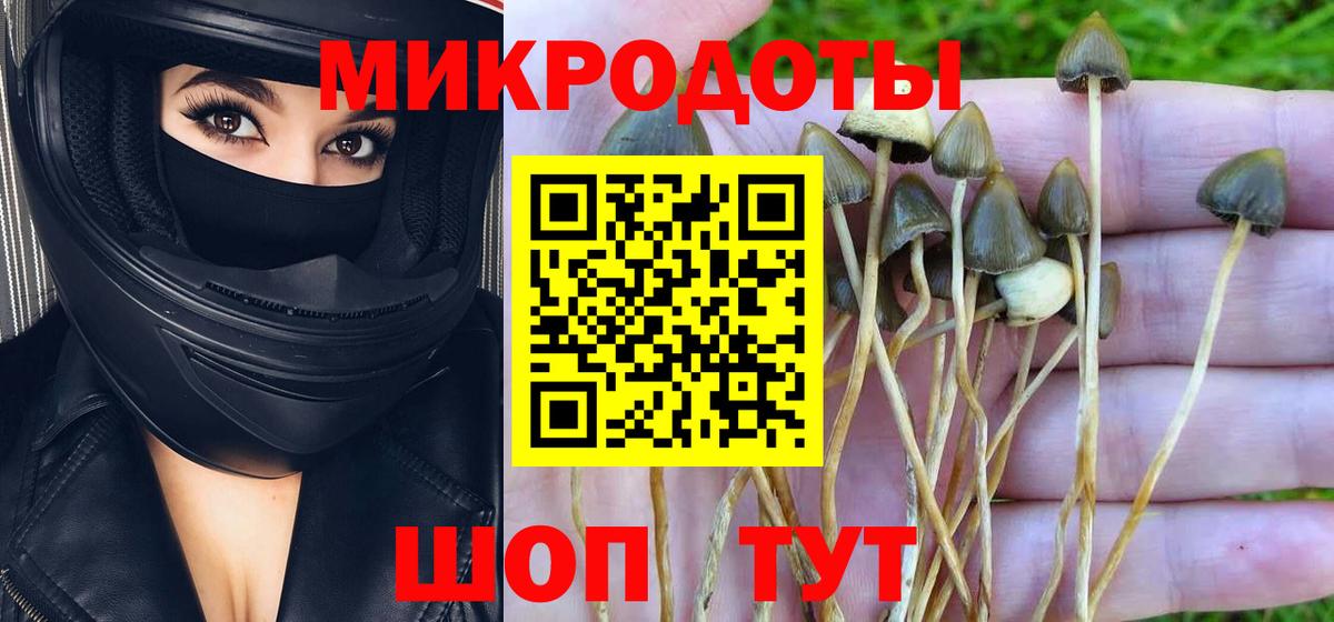 Псилоцибиновые грибы GOLDEN TEACHER  Вход с VPN  Гурьевск  Псилоцибиновые грибы ЛСД 